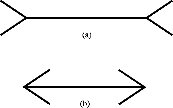 line illusion line illusion