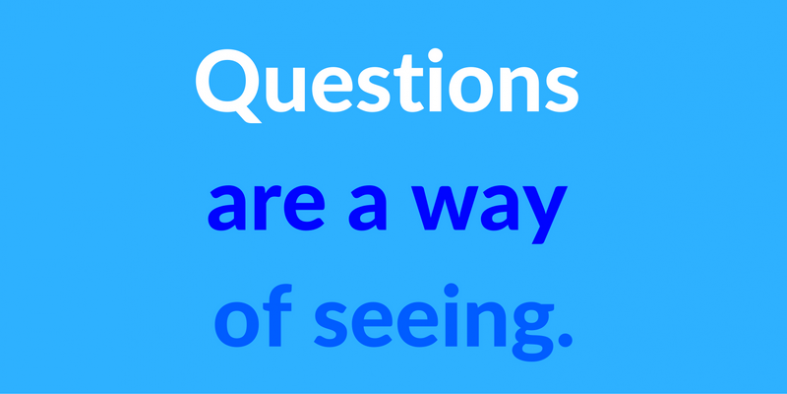 questions are a way of seeing